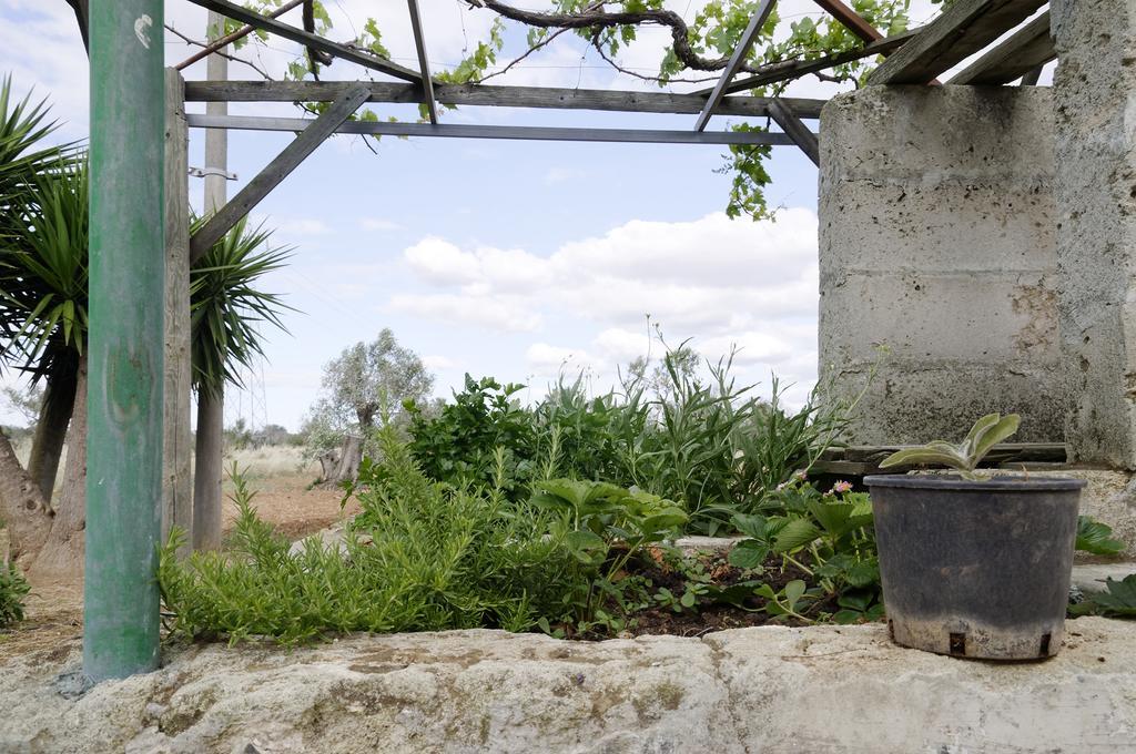 Villa Agrimat Salento Sas à Alezio Extérieur photo